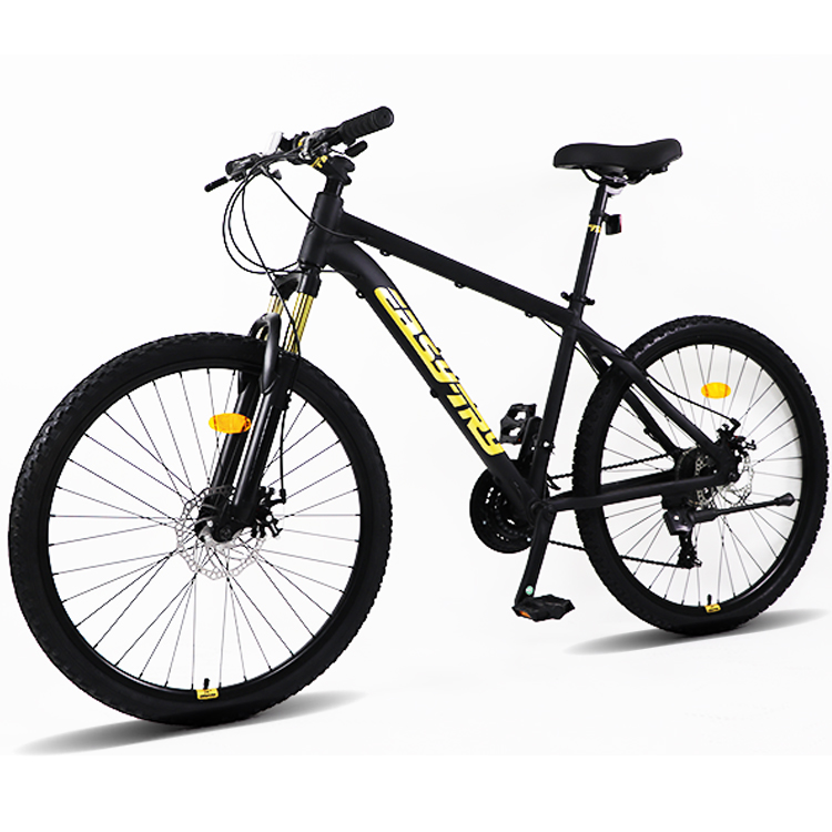 Fast Delivery Bikecmtb Bike OE - Mountain Biking Usa recension och pris