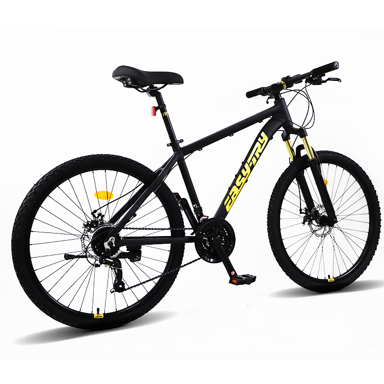Fast Delivery Bikecmtb Bike OE - Mountain Biking Usa recension och pris